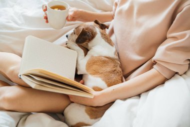 Sentuhan Kecil untuk Hari yang Lebih Menyenangkan